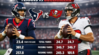 houston texans vs tampa bay buccaneers match player stats